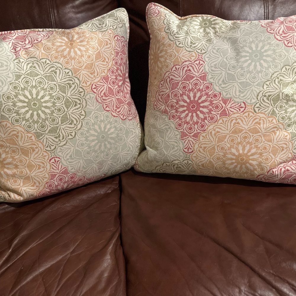 Decorative sofa feather pillows.